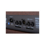 MARSHALL AS50D ΕΝΙΣΧΥΤΗΣ ΑΚΟΥΣΤΙΚΩΝ ΟΡΓΑΝΩΝ - Image 4