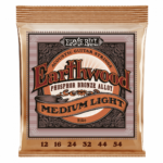 ERNIE BALL 2146 EARTHWOOD 012 - 54 ΣΕΤ ΑΚΟΥΣΤΙΚΗΣ