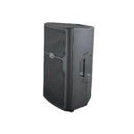 PEAVEY PVX10 - 200 Watt RMS Παθητικό ηχείο