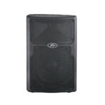 PEAVEY PVX10 - 200 Watt RMS Παθητικό ηχείο - Image 2