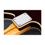 IBANEZ RC520-NM Ηλεκτρική κιθάρα - Image 3