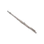 SOUNDSATION SFL-10 DO (C) Silver & Case Φλαόυτο - Image 2