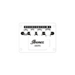 IBANEZ AW65ECE-LG Ηλεκτροακουστική κιθάρα - Image 11